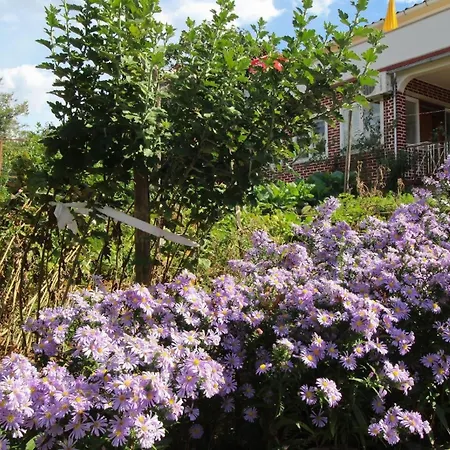 Apartman Dragica-meerblick, 280m Vom